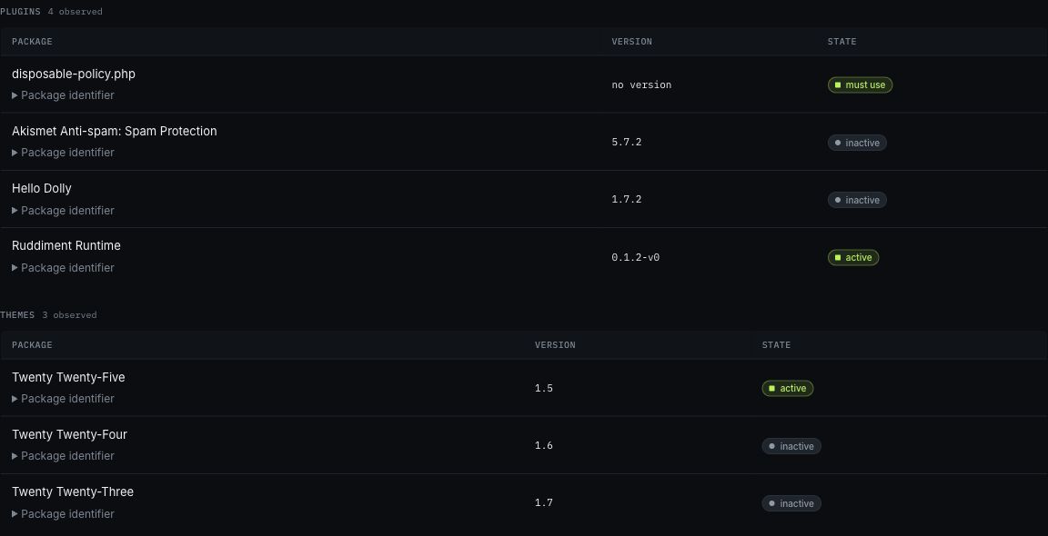 Actual Ruddiment Packages view: four plugins and three themes reported by the disposable WordPress Runtime, with versions and active states.
